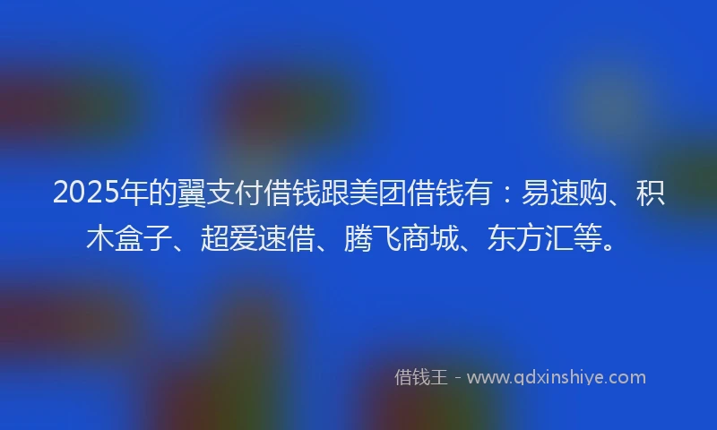 2025年的翼支付借钱跟美团借钱有：易速购、积木盒子、超爱速借、腾飞商城、东方汇等。