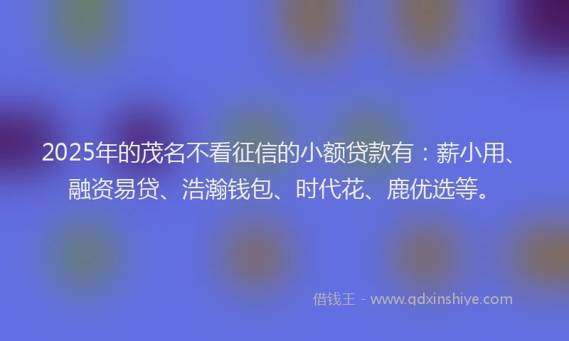 2025年的茂名不看征信的小额贷款有：薪小用、融资易贷、浩瀚钱包、时代花、鹿优选等。