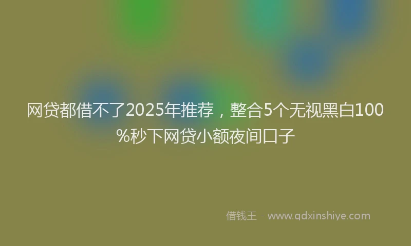 网贷都借不了2025年推荐，整合5个无视黑白100%秒下网贷小额夜间口子