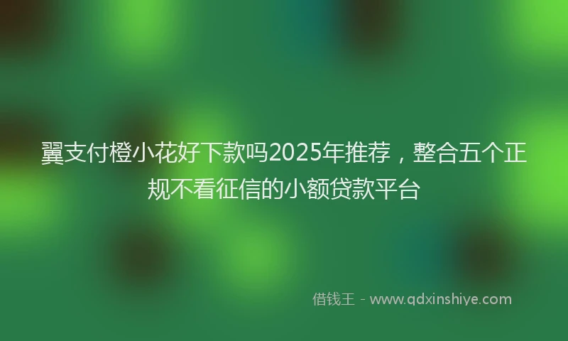 翼支付橙小花好下款吗2025年推荐，整合五个正规不看征信的小额贷款平台