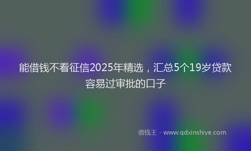 能借钱不看征信2025年精选，汇总5个19岁贷款容易过审批的口子