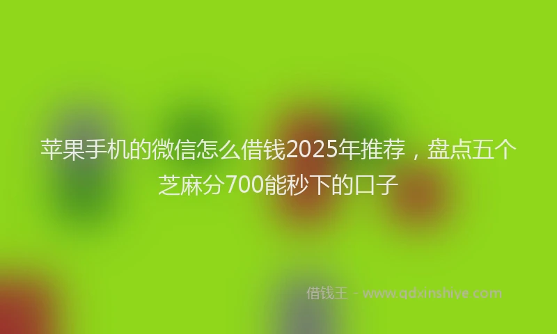 苹果手机的微信怎么借钱2025年推荐，盘点五个芝麻分700能秒下的口子