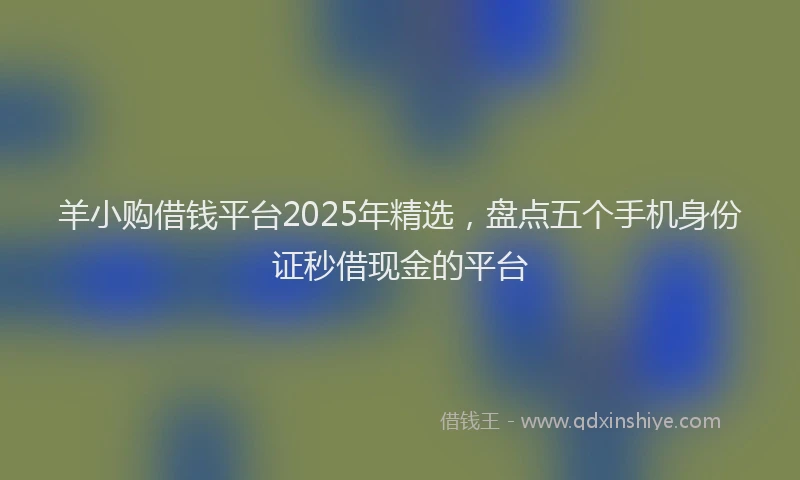 羊小购借钱平台2025年精选，盘点五个手机身份证秒借现金的平台