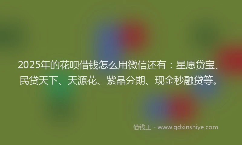 2025年的花呗借钱怎么用微信还有：星愿贷宝、民贷天下、天源花、紫晶分期、现金秒融贷等。