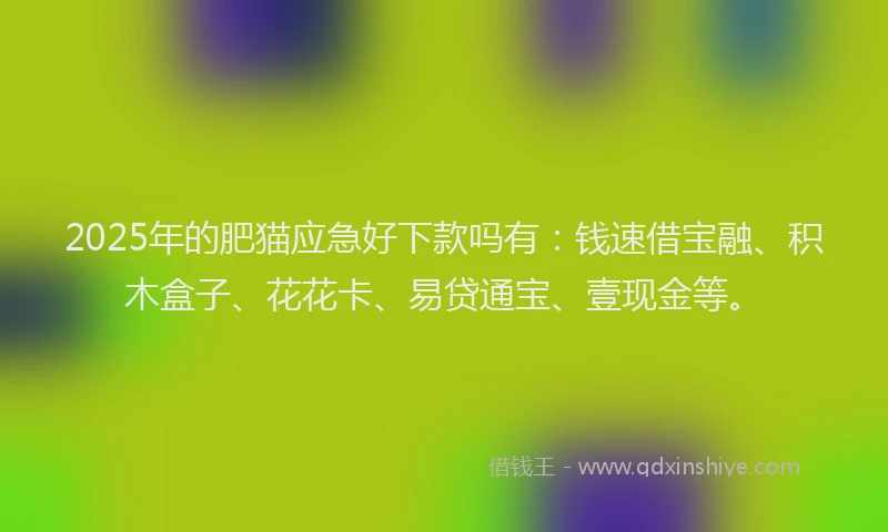 2025年的肥猫应急好下款吗有：钱速借宝融、积木盒子、花花卡、易贷通宝、壹现金等。