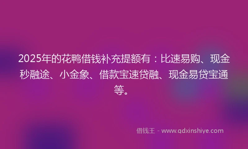2025年的花鸭借钱补充提额有：比速易购、现金秒融途、小金象、借款宝速贷融、现金易贷宝通等。