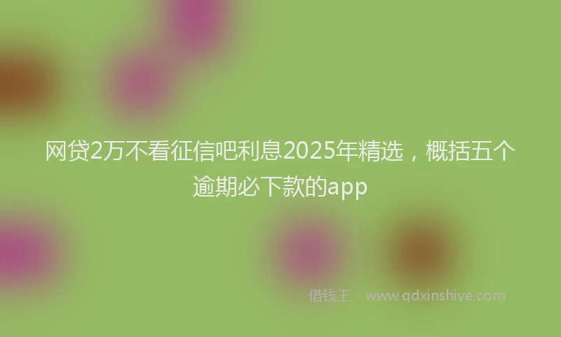 网贷2万不看征信吧利息2025年精选，概括五个逾期必下款的app