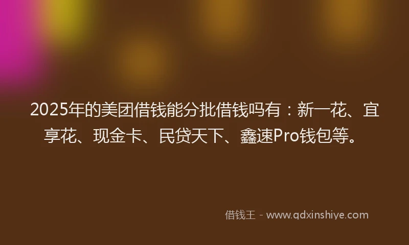 2025年的美团借钱能分批借钱吗有：新一花、宜享花、现金卡、民贷天下、鑫速Pro钱包等。