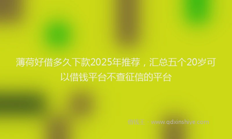 薄荷好借多久下款2025年推荐，汇总五个20岁可以借钱平台不查征信的平台