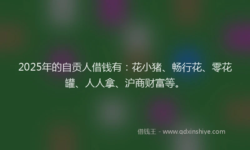 2025年的自贡人借钱有：花小猪、畅行花、零花罐、人人拿、沪商财富等。