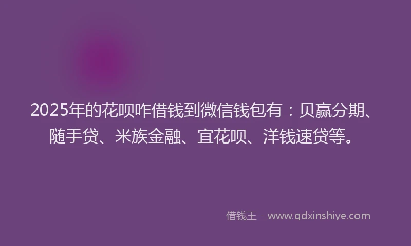 2025年的花呗咋借钱到微信钱包有：贝赢分期、随手贷、米族金融、宜花呗、洋钱速贷等。