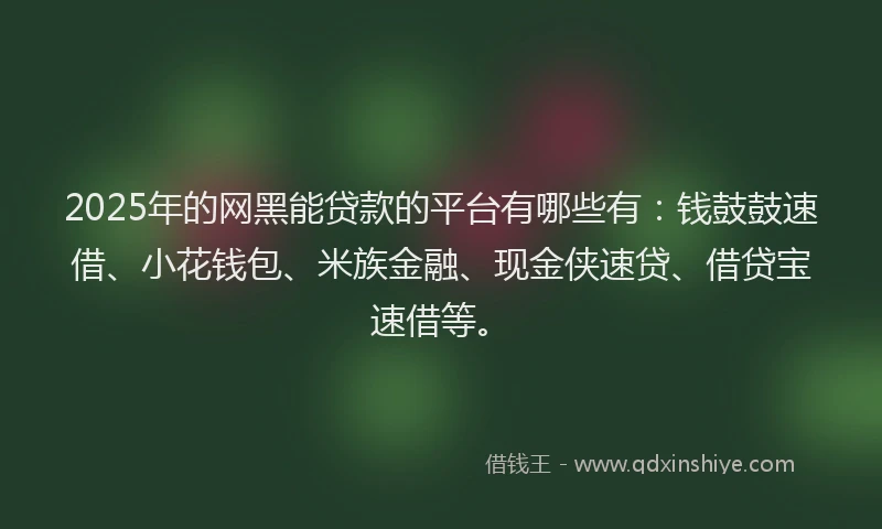 2025年的网黑能贷款的平台有哪些有：钱鼓鼓速借、小花钱包、米族金融、现金侠速贷、借贷宝速借等。