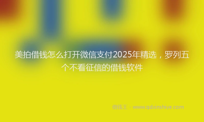 美拍借钱怎么打开微信支付2025年精选，罗列五个不看征信的借钱软件