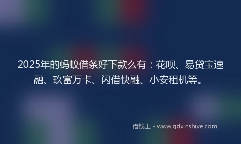 2025年的蚂蚁借条好下款么有：花呗、易贷宝速融、玖富万卡、闪借快融、小安租机等。
