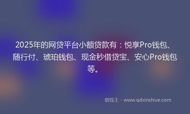2025年的网贷平台小额贷款有：悦享Pro钱包、随行付、琥珀钱包、现金秒借贷宝、安心Pro钱包等。