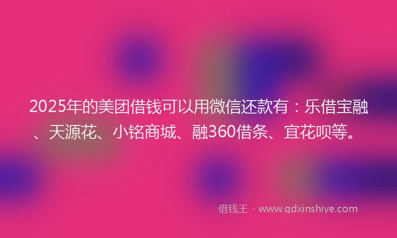 2025年的美团借钱可以用微信还款有：乐借宝融、天源花、小铭商城、融360借条、宜花呗等。
