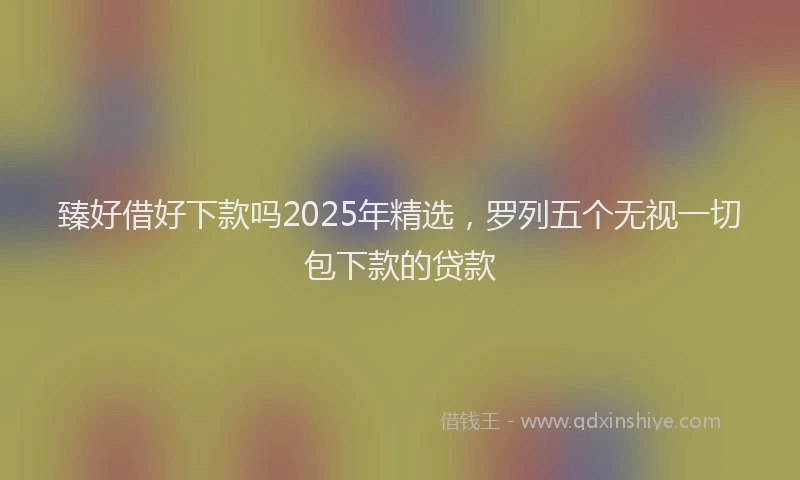 臻好借好下款吗2025年精选，罗列五个无视一切包下款的贷款