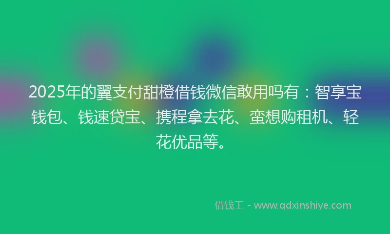 2025年的翼支付甜橙借钱微信敢用吗有：智享宝钱包、钱速贷宝、携程拿去花、蛮想购租机、轻花优品等。
