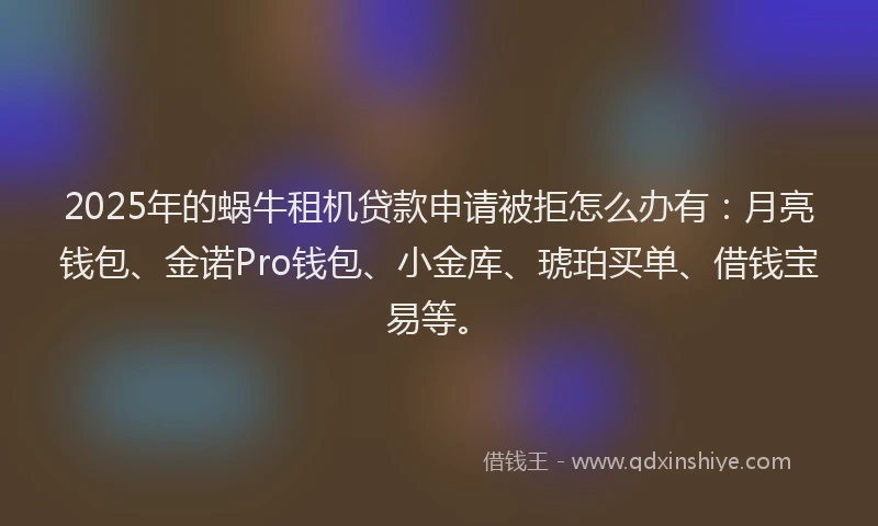 2025年的蜗牛租机贷款申请被拒怎么办有：月亮钱包、金诺Pro钱包、小金库、琥珀买单、借钱宝易等。