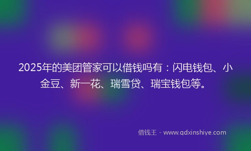 2025年的美团管家可以借钱吗有：闪电钱包、小金豆、新一花、瑞雪贷、瑞宝钱包等。