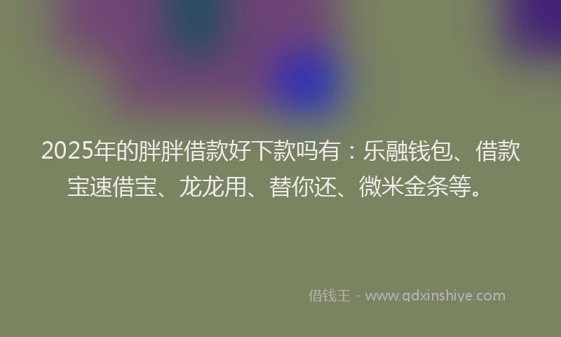 2025年的胖胖借款好下款吗有：乐融钱包、借款宝速借宝、龙龙用、替你还、微米金条等。
