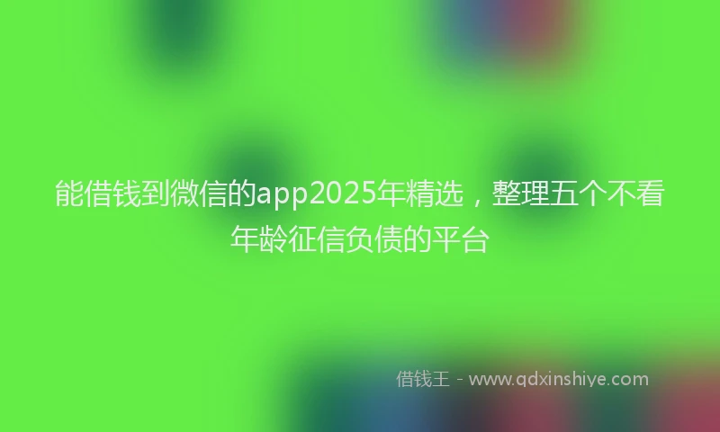 能借钱到微信的app2025年精选，整理五个不看年龄征信负债的平台