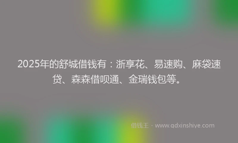 2025年的舒城借钱有：浙享花、易速购、麻袋速贷、森森借呗通、金瑞钱包等。