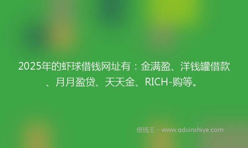 2025年的虾球借钱网址有：金满盈、洋钱罐借款、月月盈贷、天天金、RICH-购等。