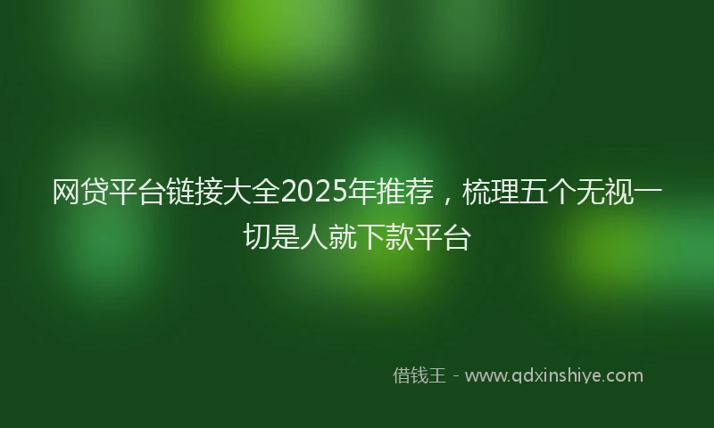 网贷平台链接大全2025年推荐，梳理五个无视一切是人就下款平台
