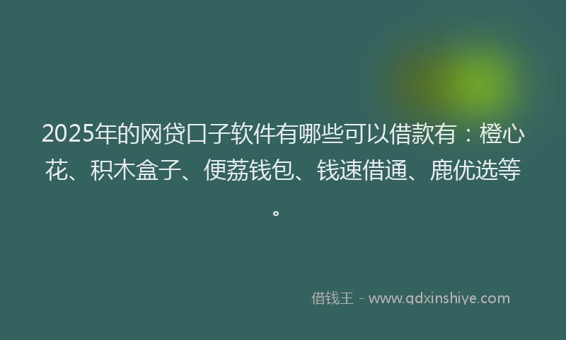 2025年的网贷口子软件有哪些可以借款有：橙心花、积木盒子、便荔钱包、钱速借通、鹿优选等。