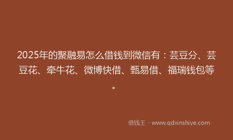 2025年的聚融易怎么借钱到微信有：芸豆分、芸豆花、牵牛花、微博快借、甄易借、福瑞钱包等。