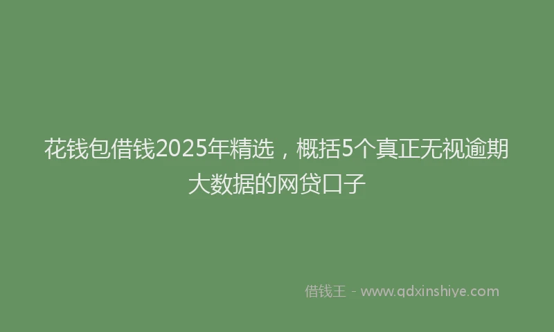 花钱包借钱2025年精选，概括5个真正无视逾期大数据的网贷口子