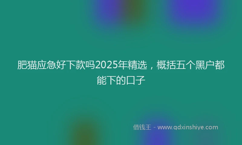 肥猫应急好下款吗2025年精选，概括五个黑户都能下的口子