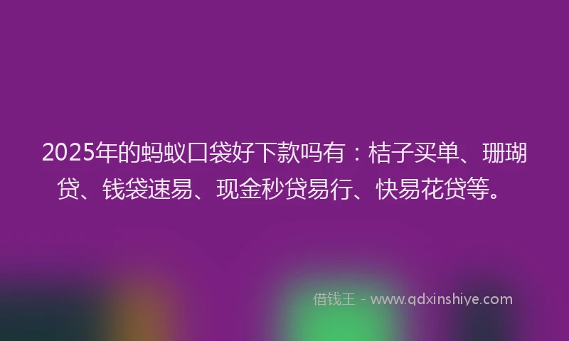 2025年的蚂蚁口袋好下款吗有：桔子买单、珊瑚贷、钱袋速易、现金秒贷易行、快易花贷等。