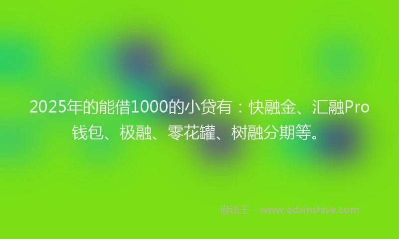 2025年的能借1000的小贷有：快融金、汇融Pro钱包、极融、零花罐、树融分期等。