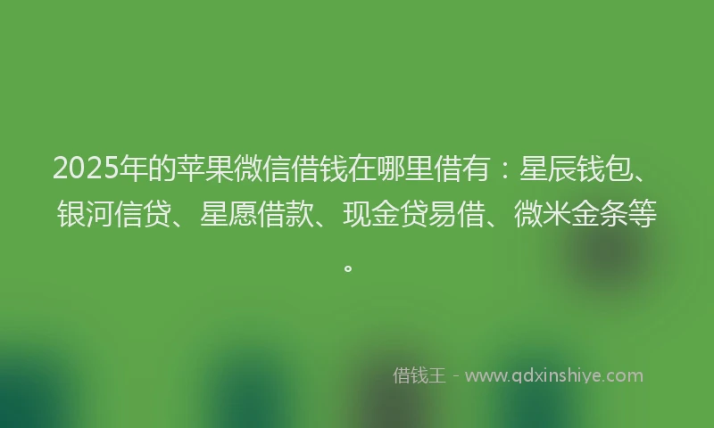 2025年的苹果微信借钱在哪里借有：星辰钱包、银河信贷、星愿借款、现金贷易借、微米金条等。