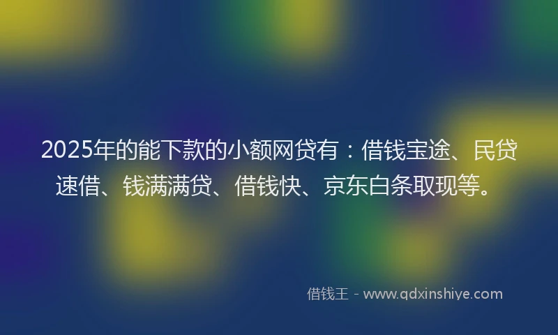 2025年的能下款的小额网贷有：借钱宝途、民贷速借、钱满满贷、借钱快、京东白条取现等。