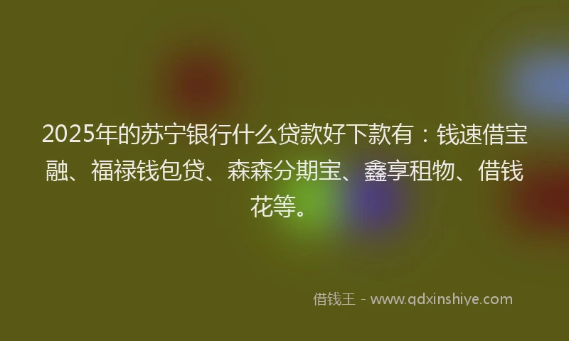 2025年的苏宁银行什么贷款好下款有：钱速借宝融、福禄钱包贷、森森分期宝、鑫享租物、借钱花等。