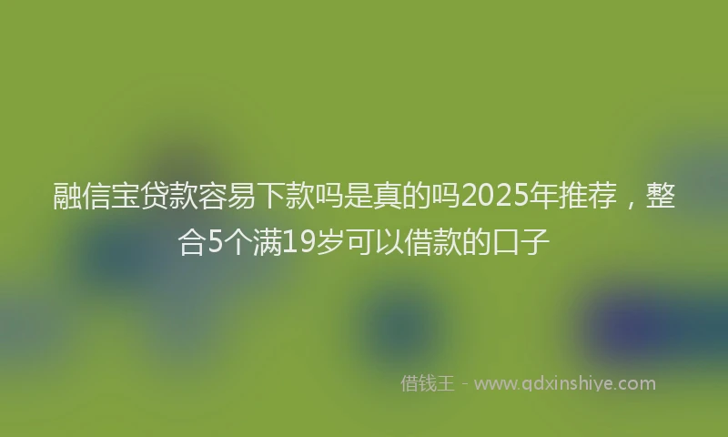 融信宝贷款容易下款吗是真的吗2025年推荐，整合5个满19岁可以借款的口子