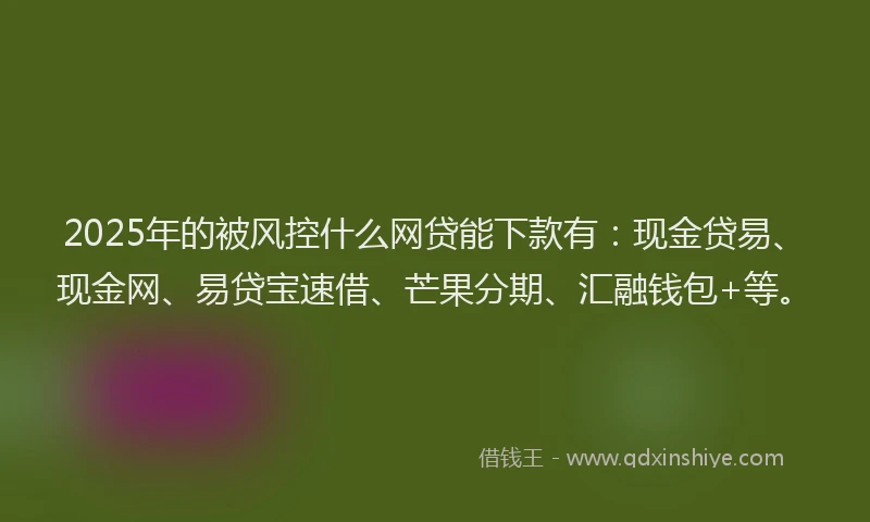 2025年的被风控什么网贷能下款有：现金贷易、现金网、易贷宝速借、芒果分期、汇融钱包+等。