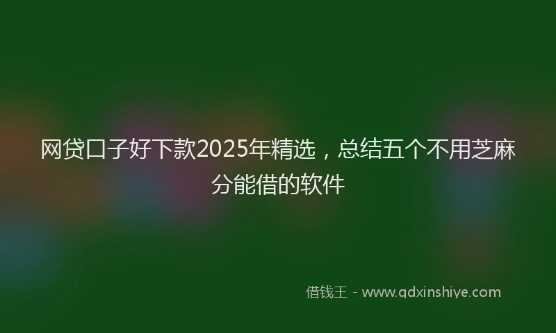 网贷口子好下款2025年精选，总结五个不用芝麻分能借的软件