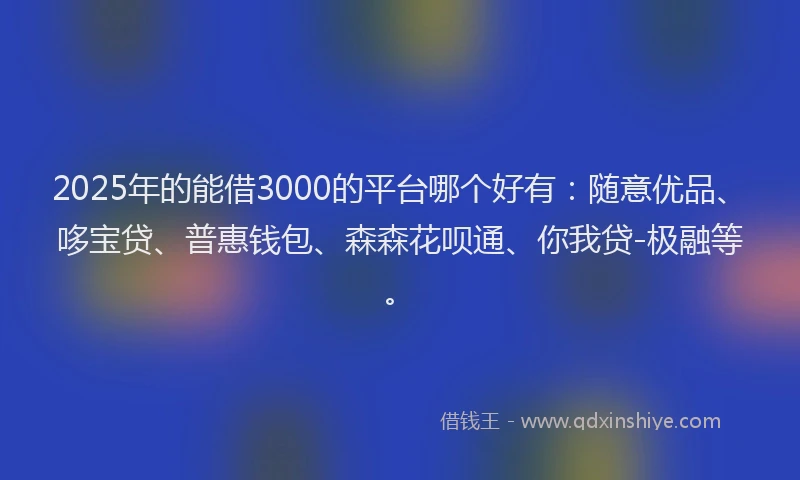 2025年的能借3000的平台哪个好有：随意优品、哆宝贷、普惠钱包、森森花呗通、你我贷-极融等。