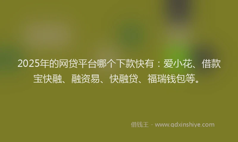 2025年的网贷平台哪个下款快有：爱小花、借款宝快融、融资易、快融贷、福瑞钱包等。