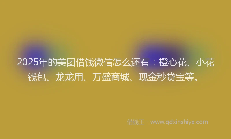 2025年的美团借钱微信怎么还有：橙心花、小花钱包、龙龙用、万盛商城、现金秒贷宝等。