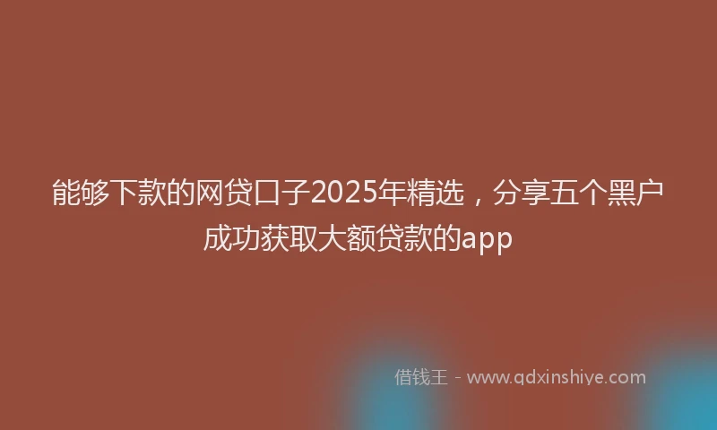 能够下款的网贷口子2025年精选，分享五个黑户成功获取大额贷款的app