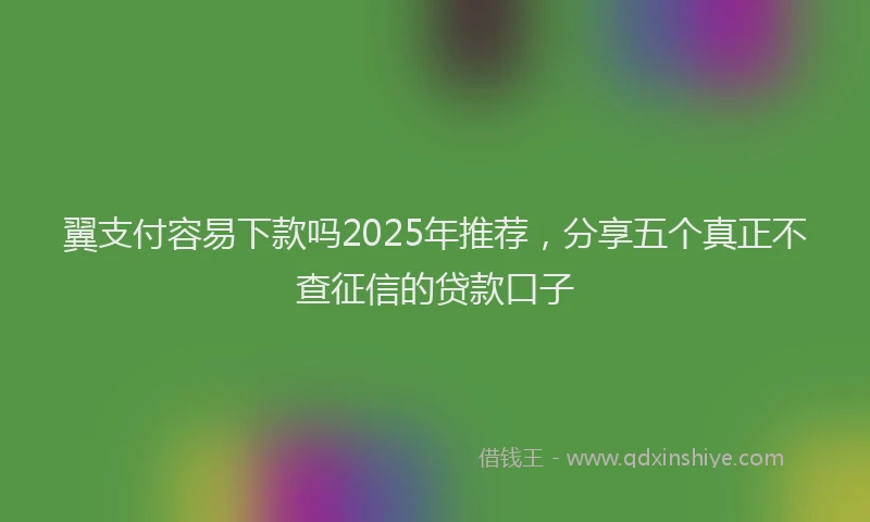 翼支付容易下款吗2025年推荐，分享五个真正不查征信的贷款口子