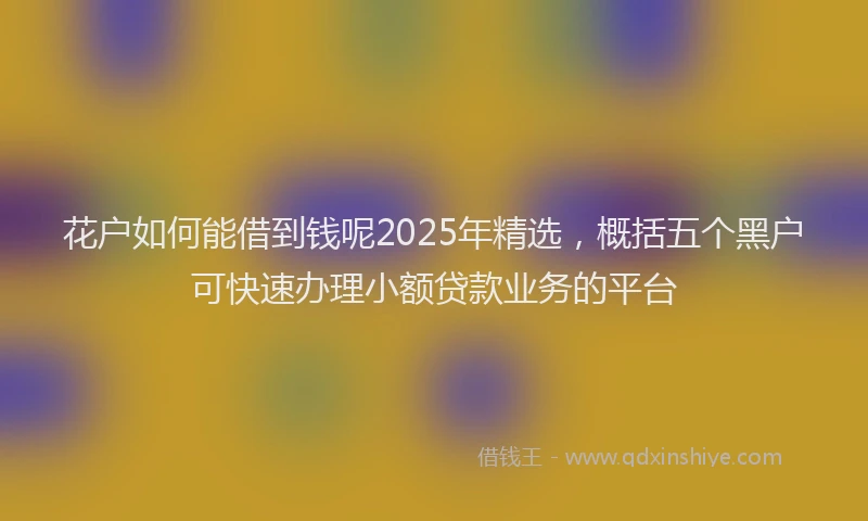 花户如何能借到钱呢2025年精选，概括五个黑户可快速办理小额贷款业务的平台