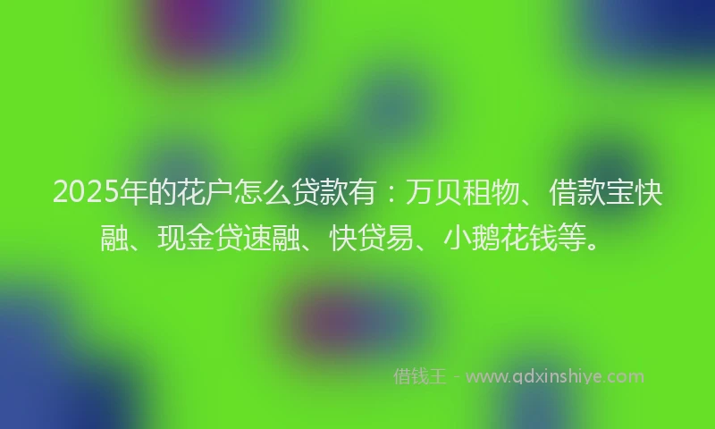 2025年的花户怎么贷款有：万贝租物、借款宝快融、现金贷速融、快贷易、小鹅花钱等。
