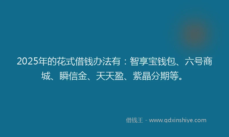 2025年的花式借钱办法有：智享宝钱包、六号商城、瞬信金、天天盈、紫晶分期等。