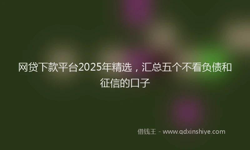 网贷下款平台2025年精选，汇总五个不看负债和征信的口子